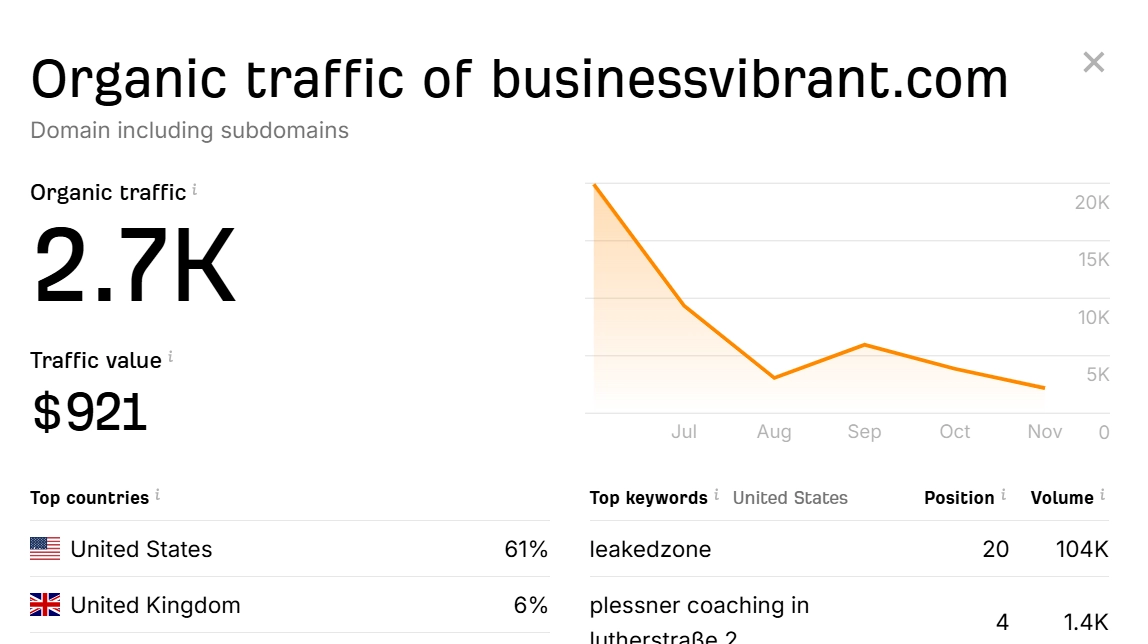 businessvibrant.com